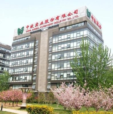 万能营业执照模板助力企业高效运营