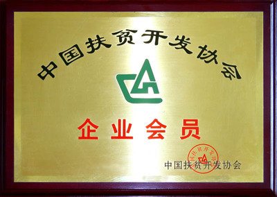 亿万富翁在演讲中激励年轻创业者