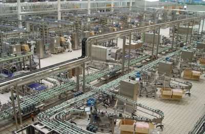 专业人员协助办理营业执照，确保流程顺畅